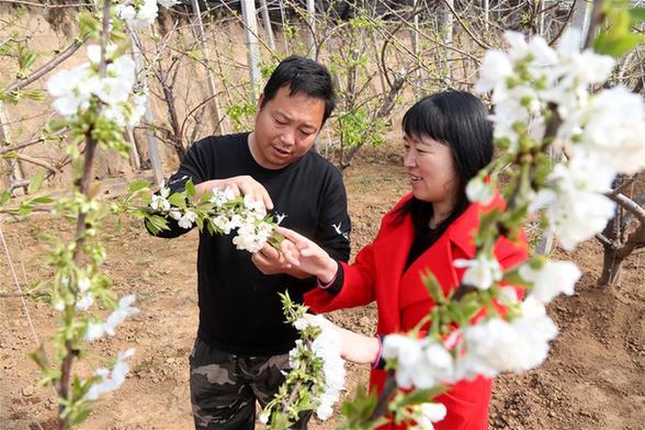 （在习近平新时代中国特色社会主义思想指引下——新时代新作为新篇章·图文互动）山西浮山：“农技小团队”托起“蔬菜大产业”